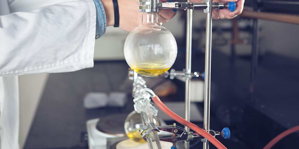 Co2-extracted-process Co2-extracted-process